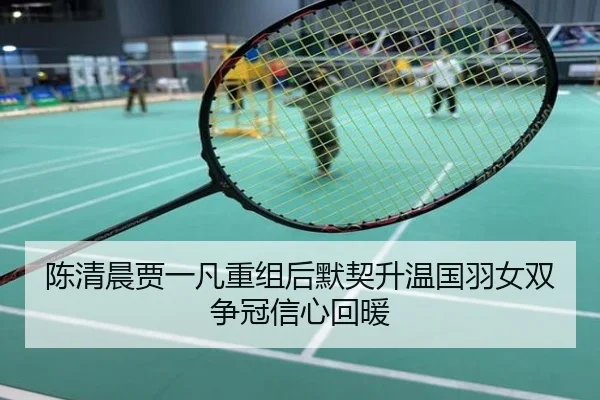 陈清晨贾一凡重组后默契升温国羽女双争冠信心回暖