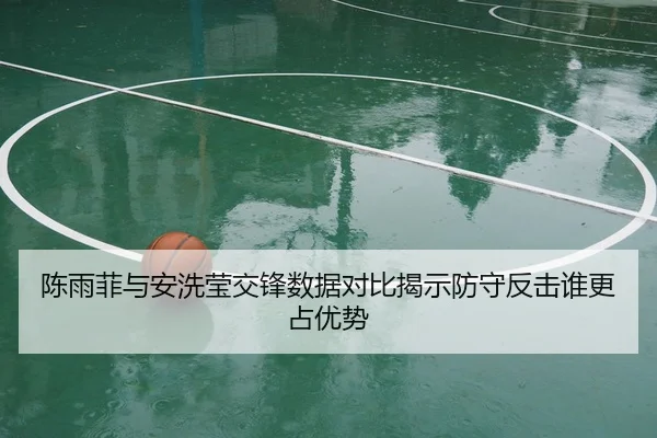 陈雨菲与安洗莹交锋数据对比揭示防守反击谁更占优势