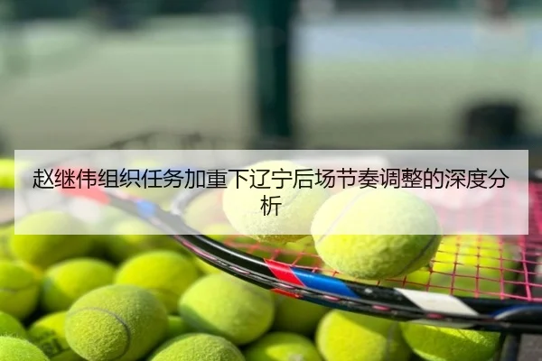 赵继伟组织任务加重下辽宁后场节奏调整的深度分析