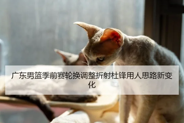 广东男篮季前赛轮换调整折射杜锋用人思路新变化
